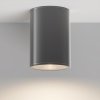 Nowoczesna lampa zewnętrzna sufitowa plafon LED metalowy grafitowy Bar MAYTONI O306CL-L12GF